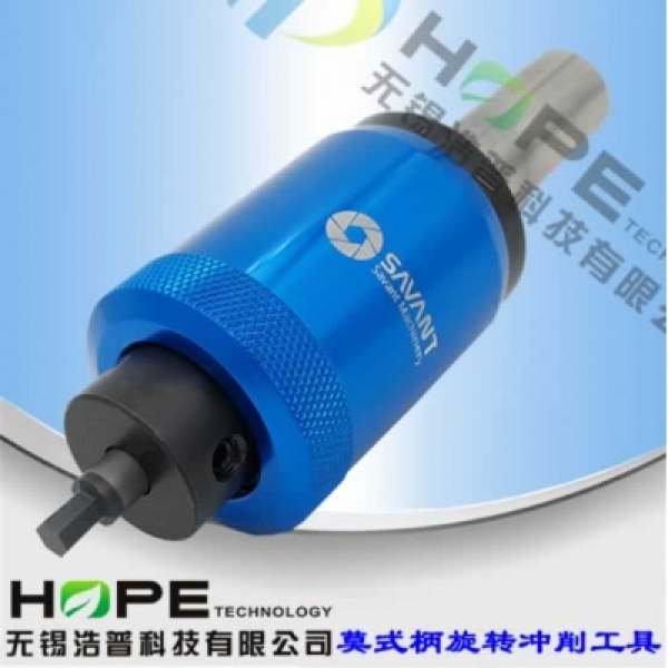 Rotary punching tool